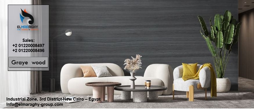 EL-Maraghy-Group (3)