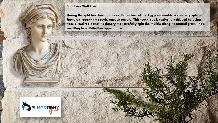 EL-Maraghy-Group (6)